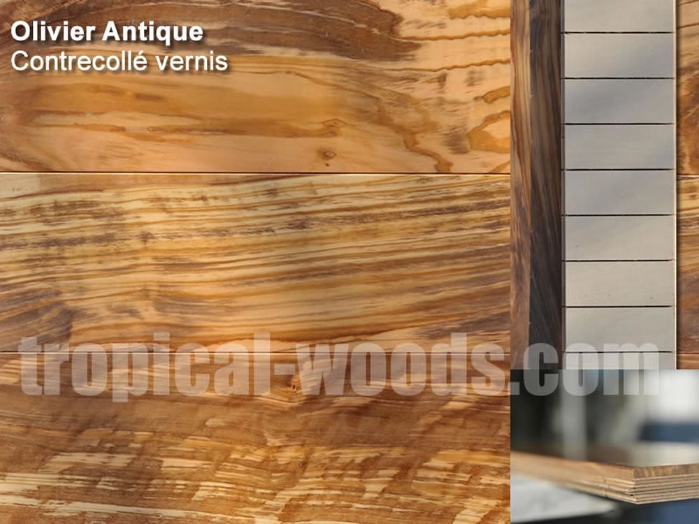 parquet en olivier antique