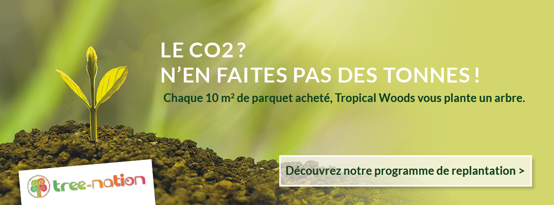 parquet bois écologie co2